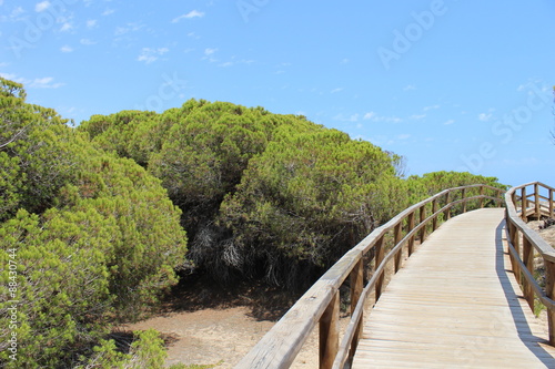 Wallpaper Mural Dunas de La Marina, España Torontodigital.ca