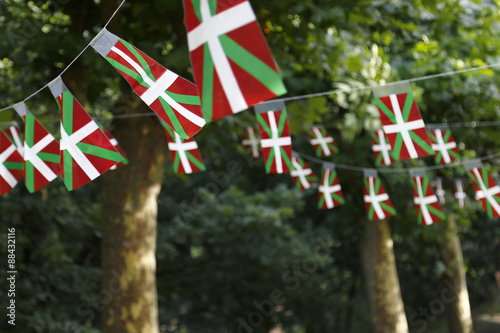 Basque country flags flying in a park with trees photo