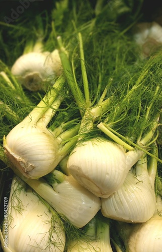 Fennel Bulbs at a produce stand