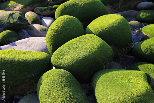 Photography piedras zen verdes mar 9227-f15