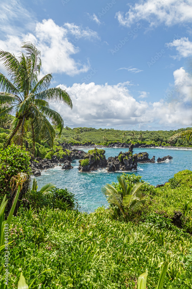 Waianapanapa State Park, home to a black beach, a popular destination on the Road to Hana on Maui, Hawaii