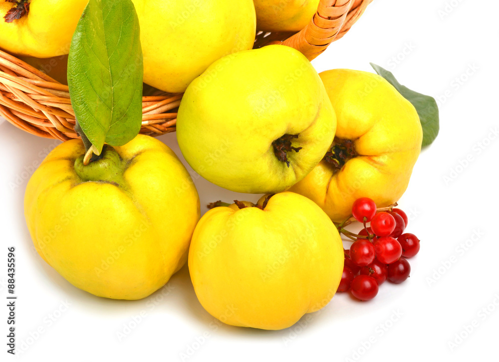 quince in the basket isolated on white background