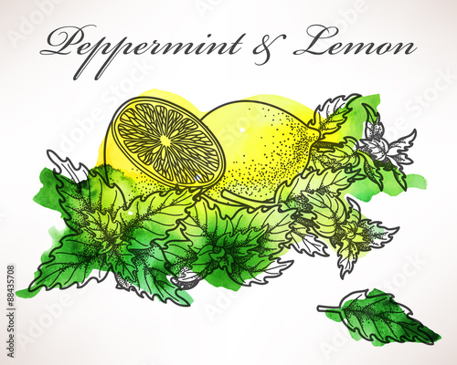 Lemon and peppermint