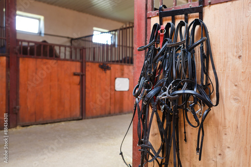 Horse bridles hanging in stable