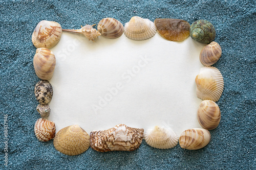 frame of shells on blue sand