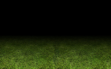 grass at the stadium.