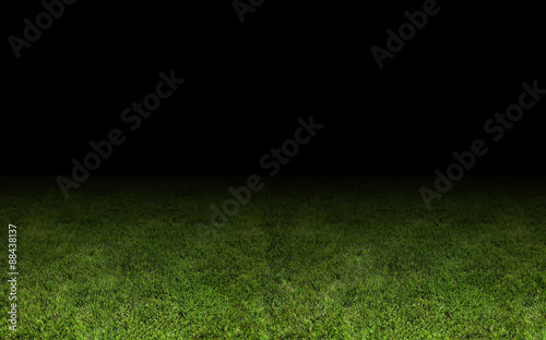 grass at the stadium.