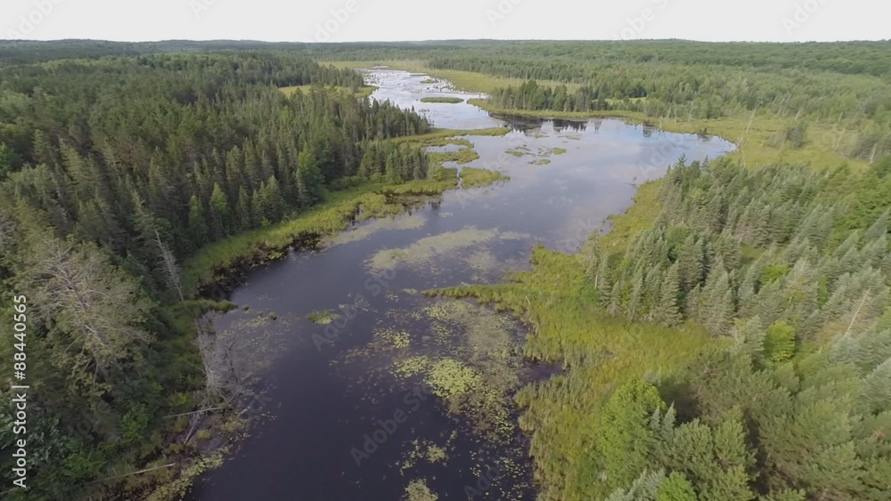 Aerial flight over a pond filled with vegetation and surrounded by a forest of mixed conifer evergreen trees.