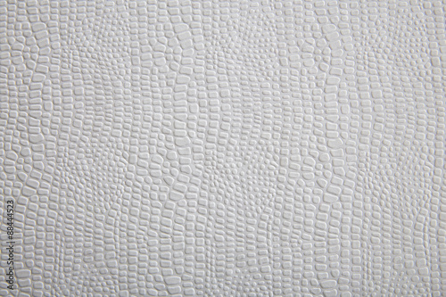 White Eva crocodile skin texture #1