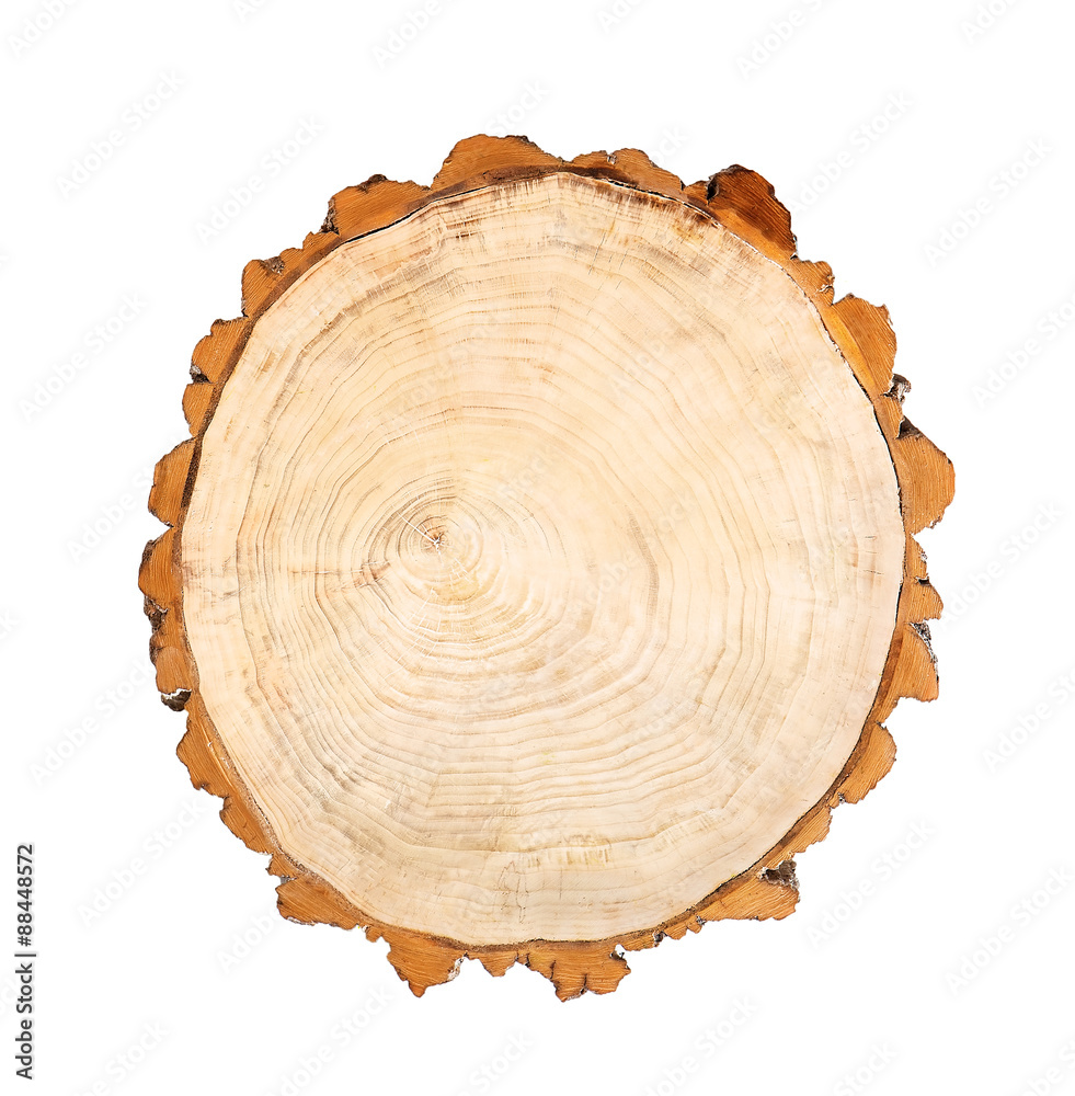 log wood log wood
