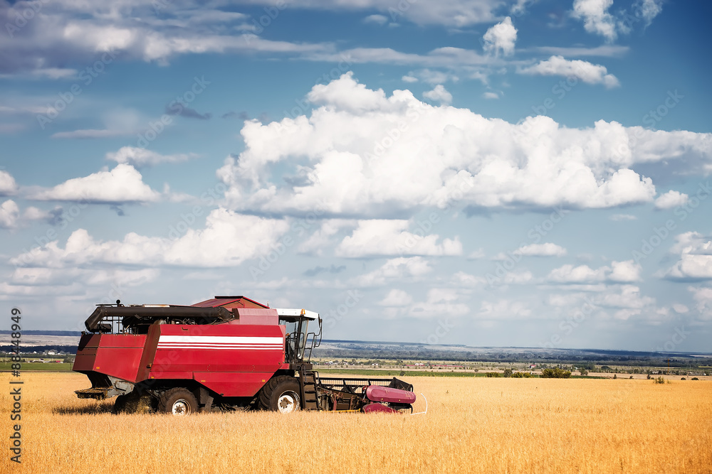 Obraz premium combine harvester