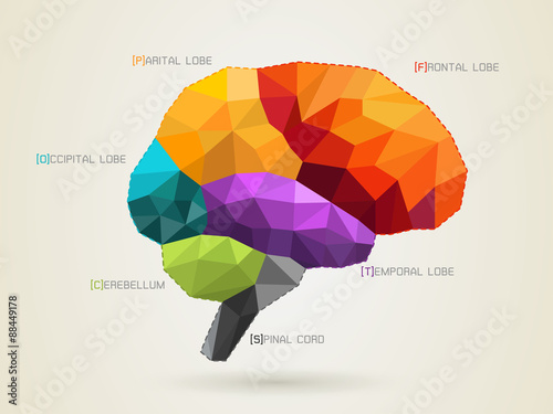 vector illustration of a brain icon