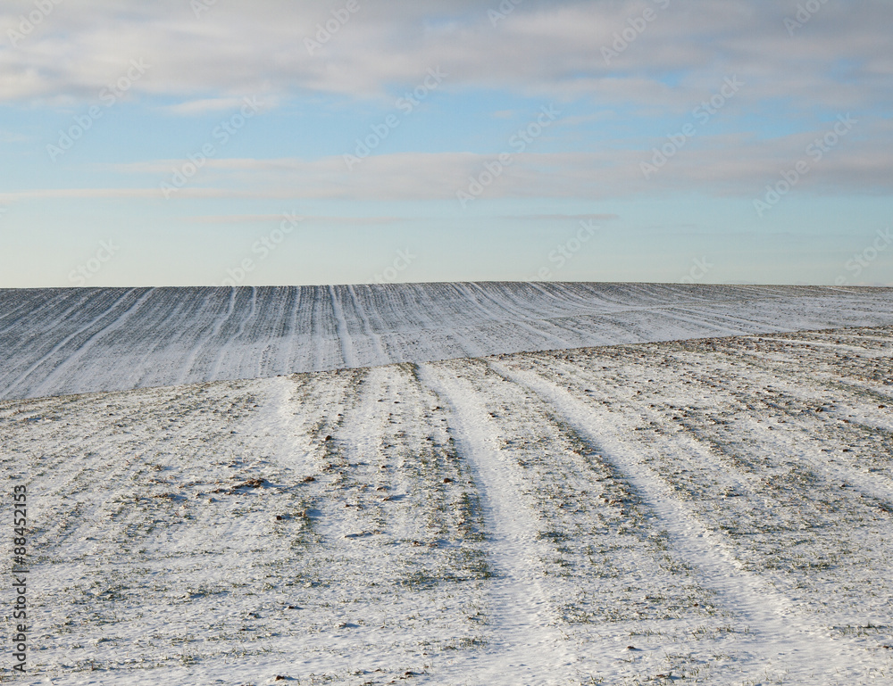 Naklejka premium Plowed field.