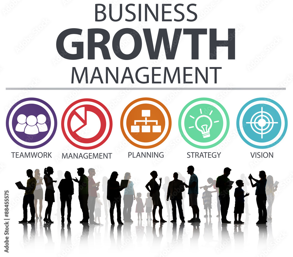Business Strategy Management Mission Success Concept Business Strategy Management Mission Success Concept
