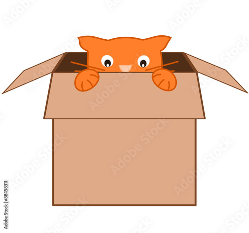 funny cute cartoon orange cat in carton box vector illustration