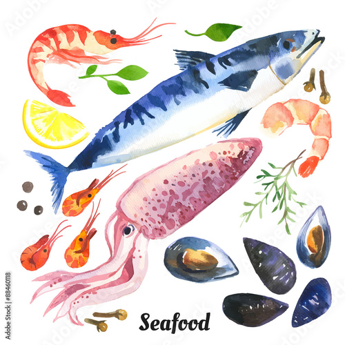 Vector Illustration with watercolor food. Mackerel. Watercolor set of sea food with trout, salmon and mussels drawn by hand on a white background.