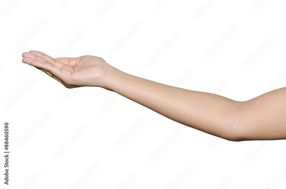 empty female woman hand holding on white background. empty female woman hand holding on white background.