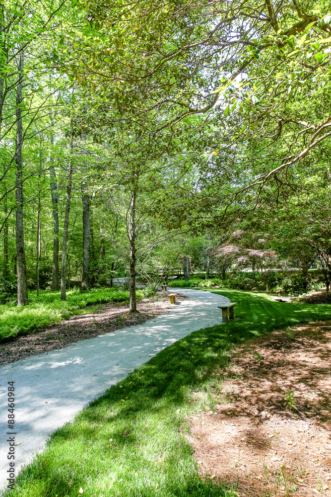 Walking Path Winding Through Forest Walking Path Winding Through Forest