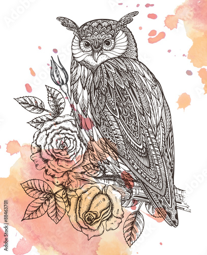 Vector illustration of wild totem animal - Owl in ornamental gra
