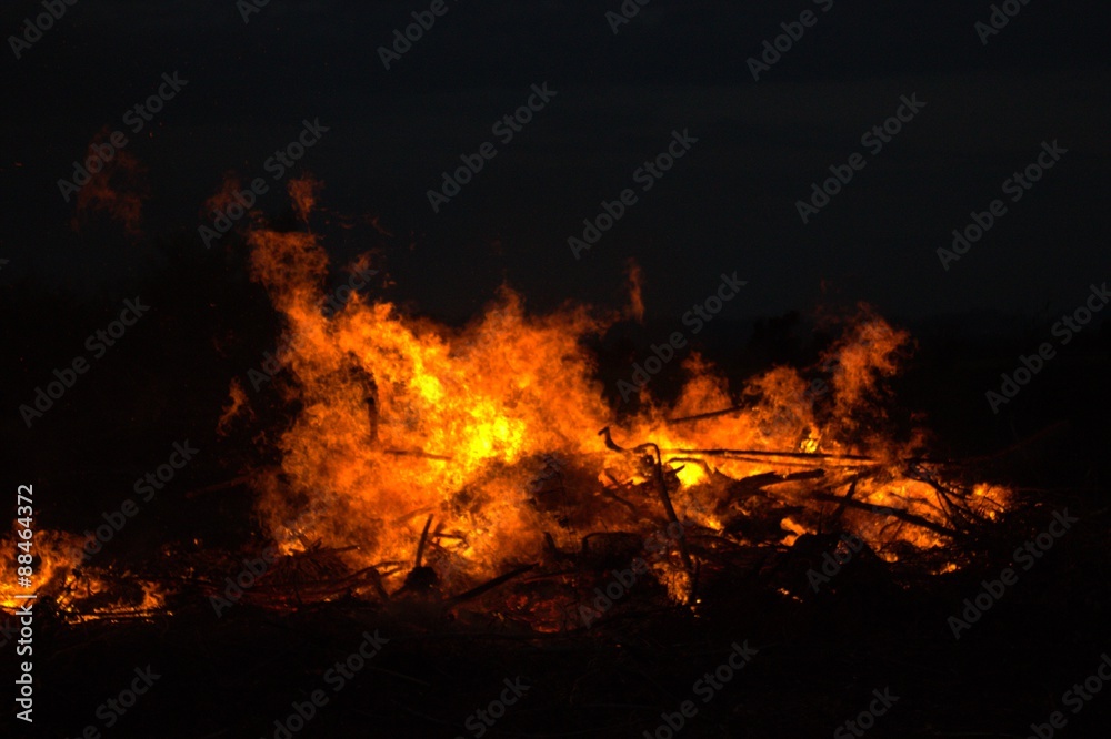 Twigs burning at park in thailand disaster in bush forest with fire spreading in dry woods.