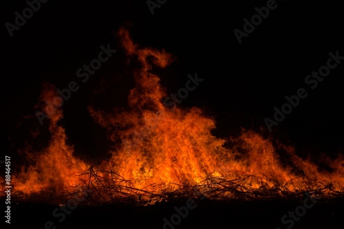 Twigs burning at park in thailand disaster in bush forest with fire spreading in dry woods.