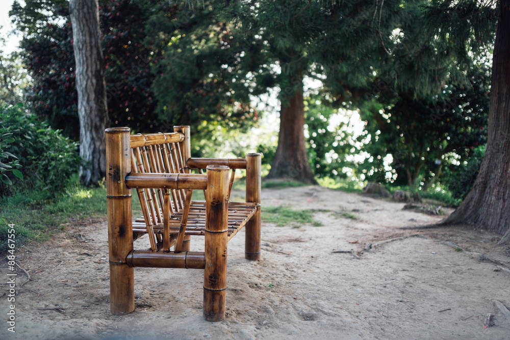 Nice bamboo chair in  the wood