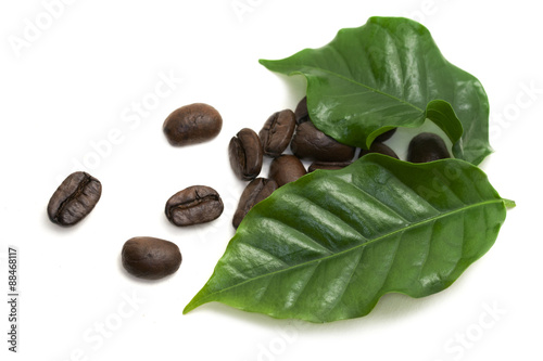 Grouped roasted coffee beans under the green leaf isolated on white background.