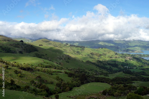 Fototapeta Naklejka Na Ścianę i Meble -  Landschaft, Natur und Wildnis auf der Südinsel Neuseelands