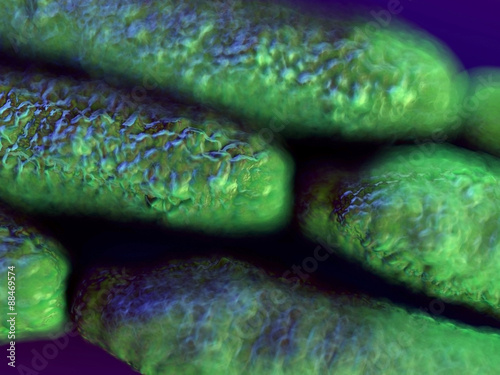 Billede på lærred Anthrax bacteria