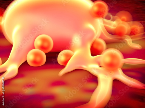Φωτογραφία Fat cells or adipose tissue showing fat