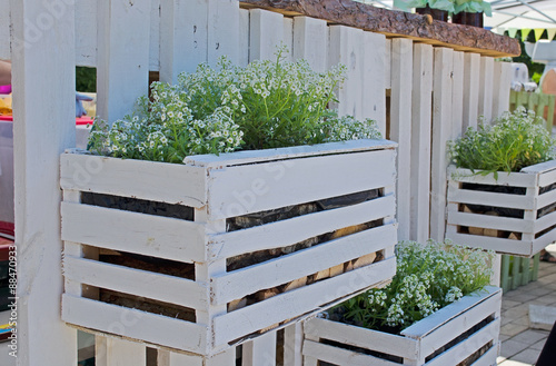 White wooden flower box with white smal flowers