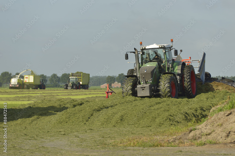 Naklejka premium Agriculture, cut grass chopping and silage with tractors.