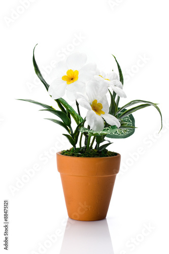 Artificial daisy in terra cotta flower pot