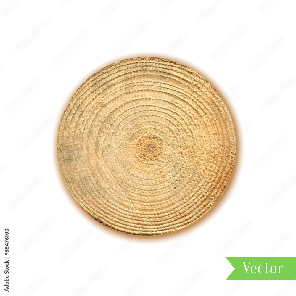 Tree stump, round cut with annual rings vector. Wooden cross section. Vector illustration. Realistic isolated circle tree can be used for icon, sticker, label, backdrop. Tree stump, round cut with annual rings vector. Wooden cross section. Vector illustration. Realistic isolated circle tree can be used for icon, sticker, label, backdrop.