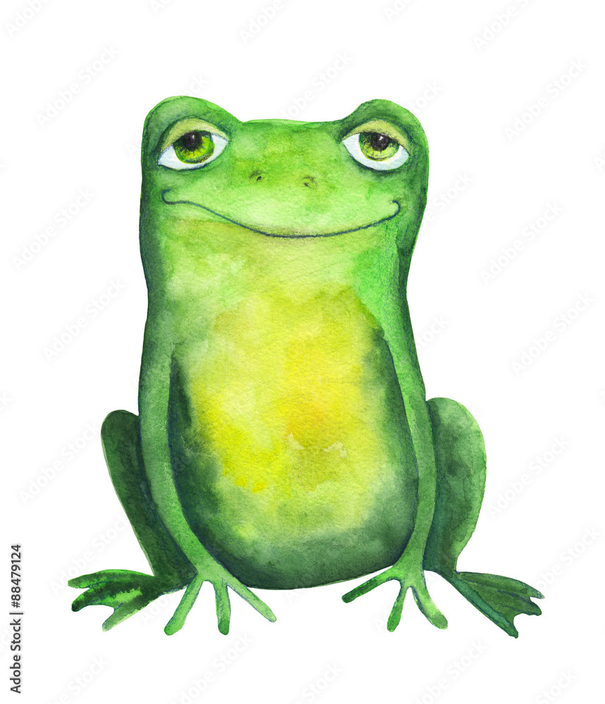 Fototapeta premium Frog. Watercolor