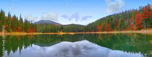 picturesque lake in the autumn forest