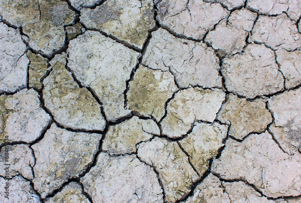 soil Cracked arid pattern for background. soil Cracked arid pattern for background.