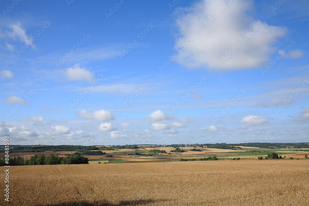 Obraz premium Landscape