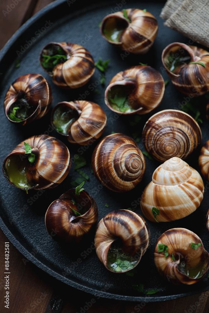Close-up of bourgogne snails with garlic butter, selective focus Close-up of bourgogne snails with garlic butter, selective focus