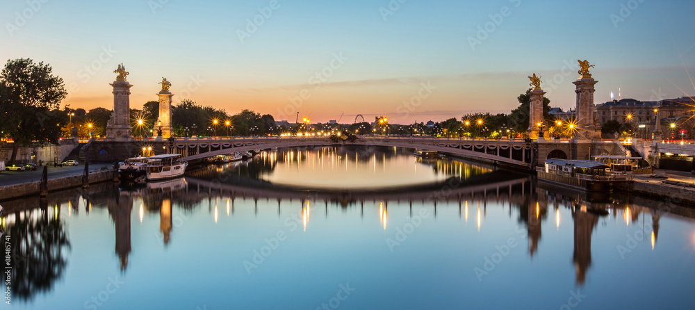 Fototapeta premium Pont Alexandre-III w nocy