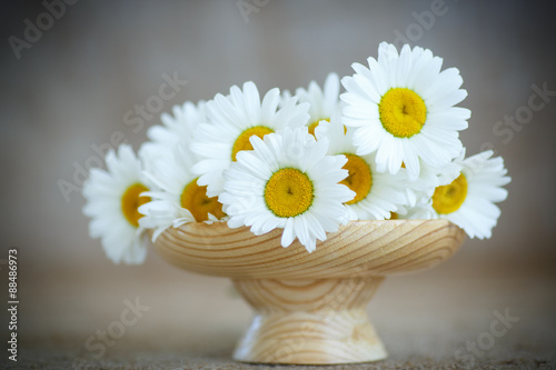 Fototapeta Naklejka Na Ścianę i Meble -  beautiful bouquet of summer daisies