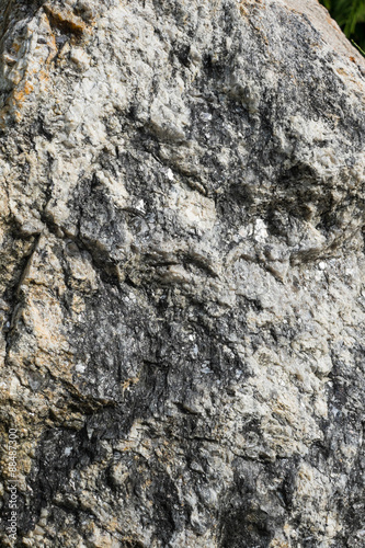 Detailed stone texture as background