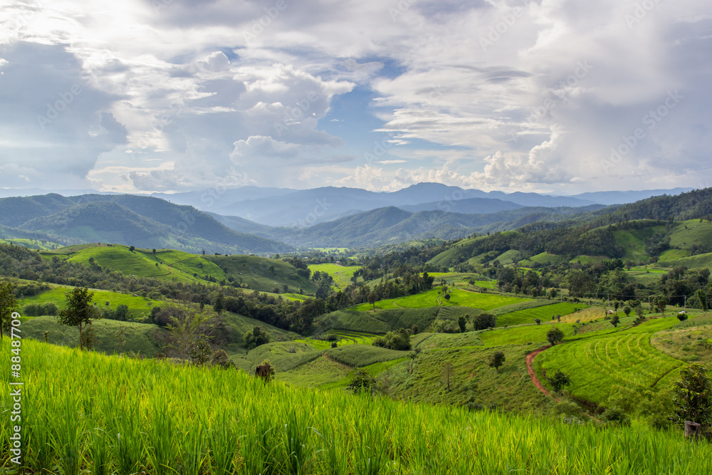 Green Terraced Rice Field in Pa Pong Pieng , Mae Chaem, Chiang Mai, Thailand