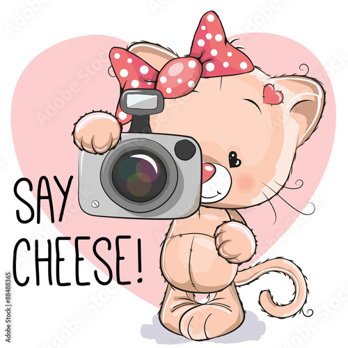 Cat with a camera