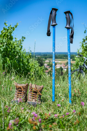 Wine Tourism-Pair of hiking shoes in the grass surrounded vineya photo