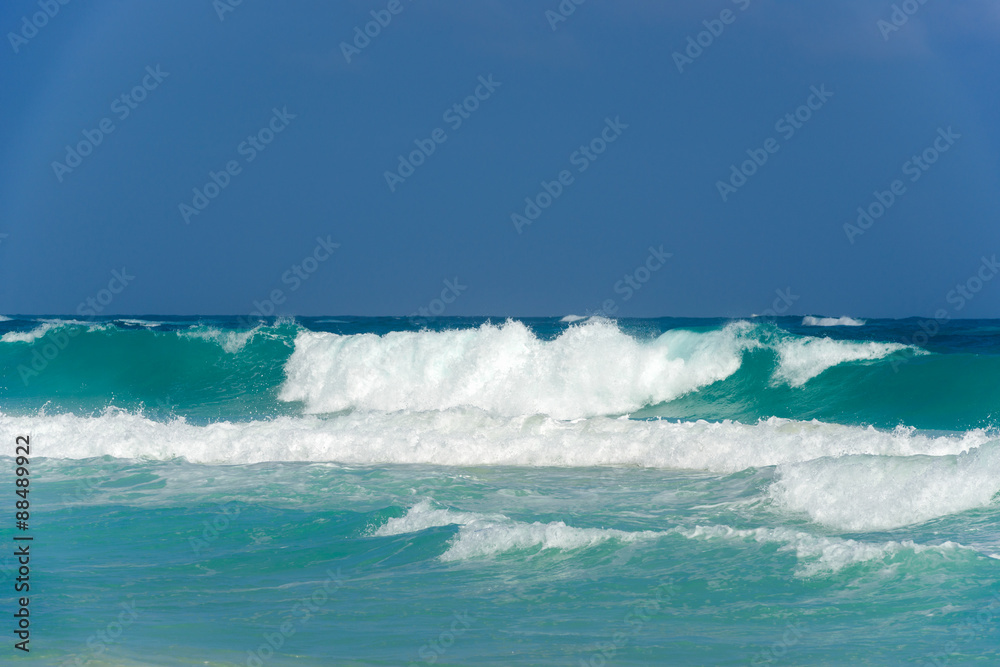 tropical landscape with a beach in a sunny day tropical landscape with a beach in a sunny day