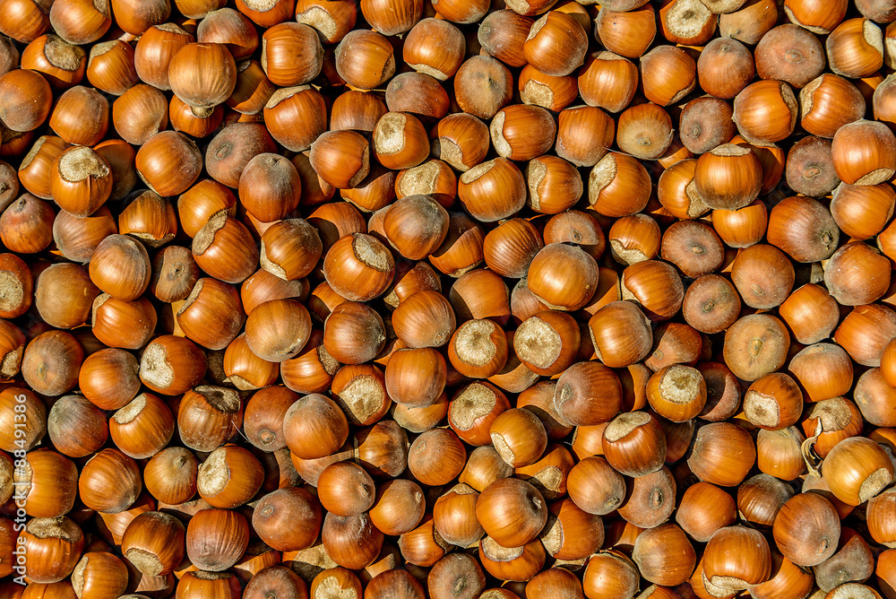 Hazel nuts