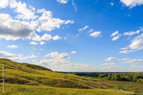 Summer landscape