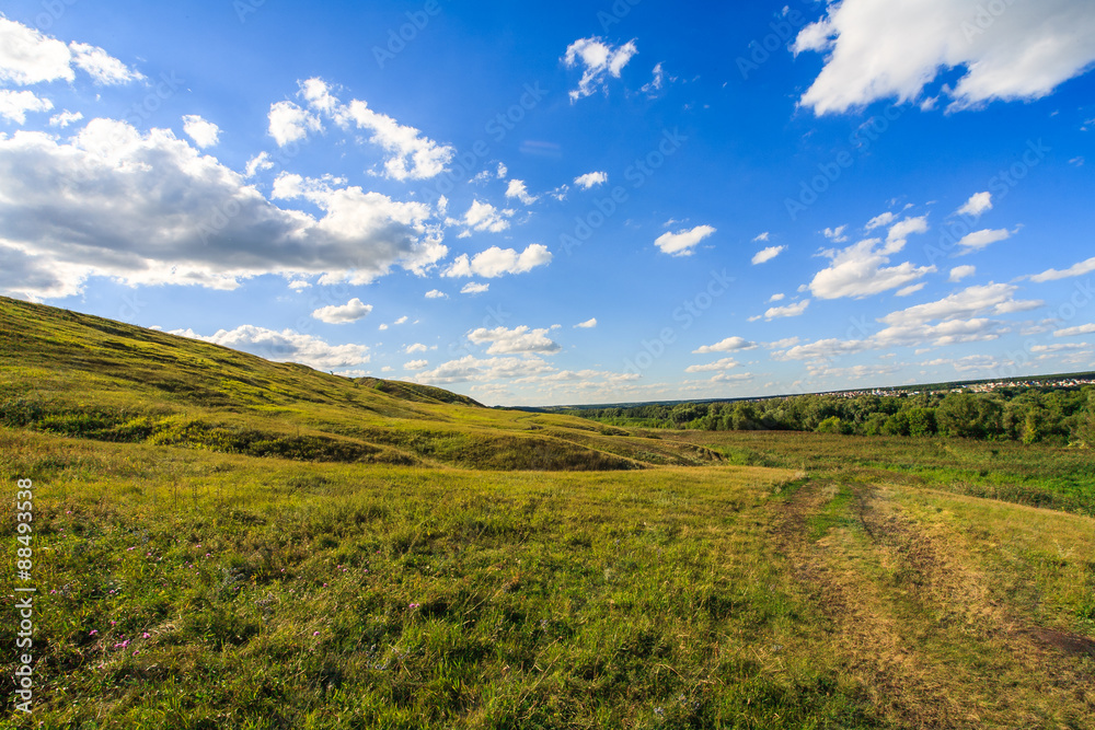 Fototapeta premium headband