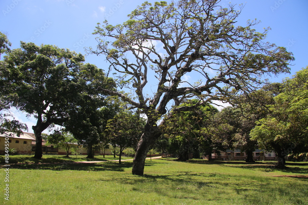 Guyane - Les Îles du Salut - Août 2015